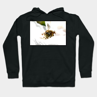 Bee 3 Hoodie